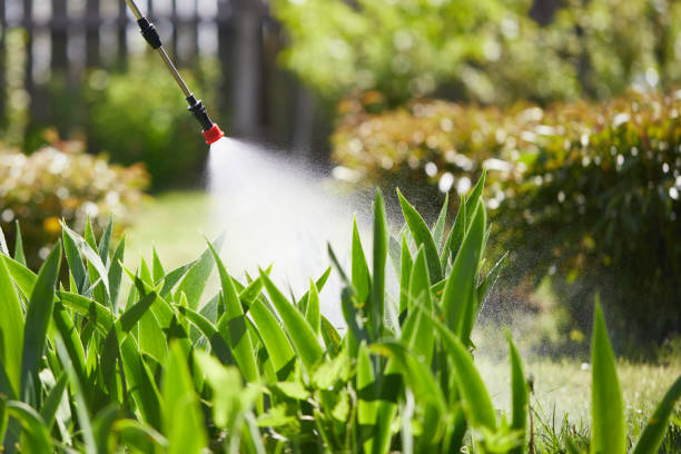 24/7 Emergency Mosquito Control experts in Muldraugh, KY